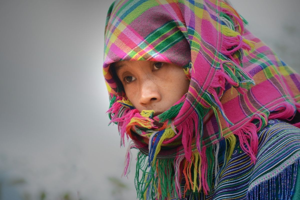 7D6N Hanoi  Sapa Fansipan  Ninh Binh  Halong Bay Tour - photo 29